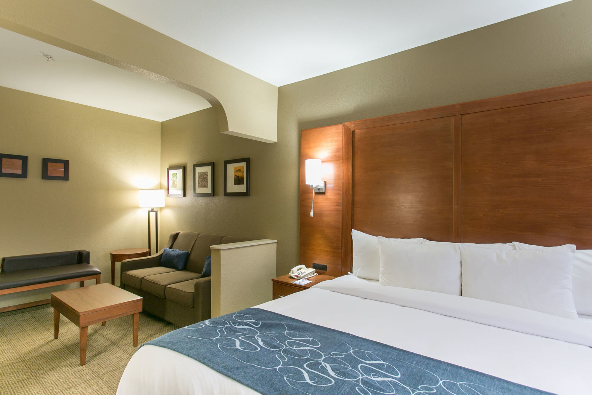 Comfort Suites Austin Nw Lakeline Chambre photo
